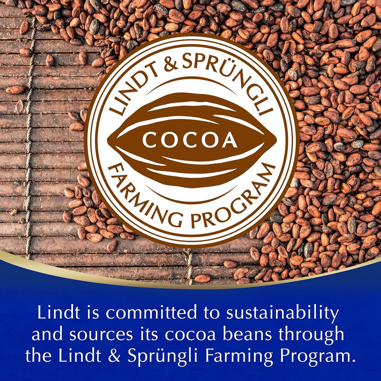 Lindt Hot Chocolate 300g - Made with Real Lindt Chocolate, Vegan-Friendly Recipe 8