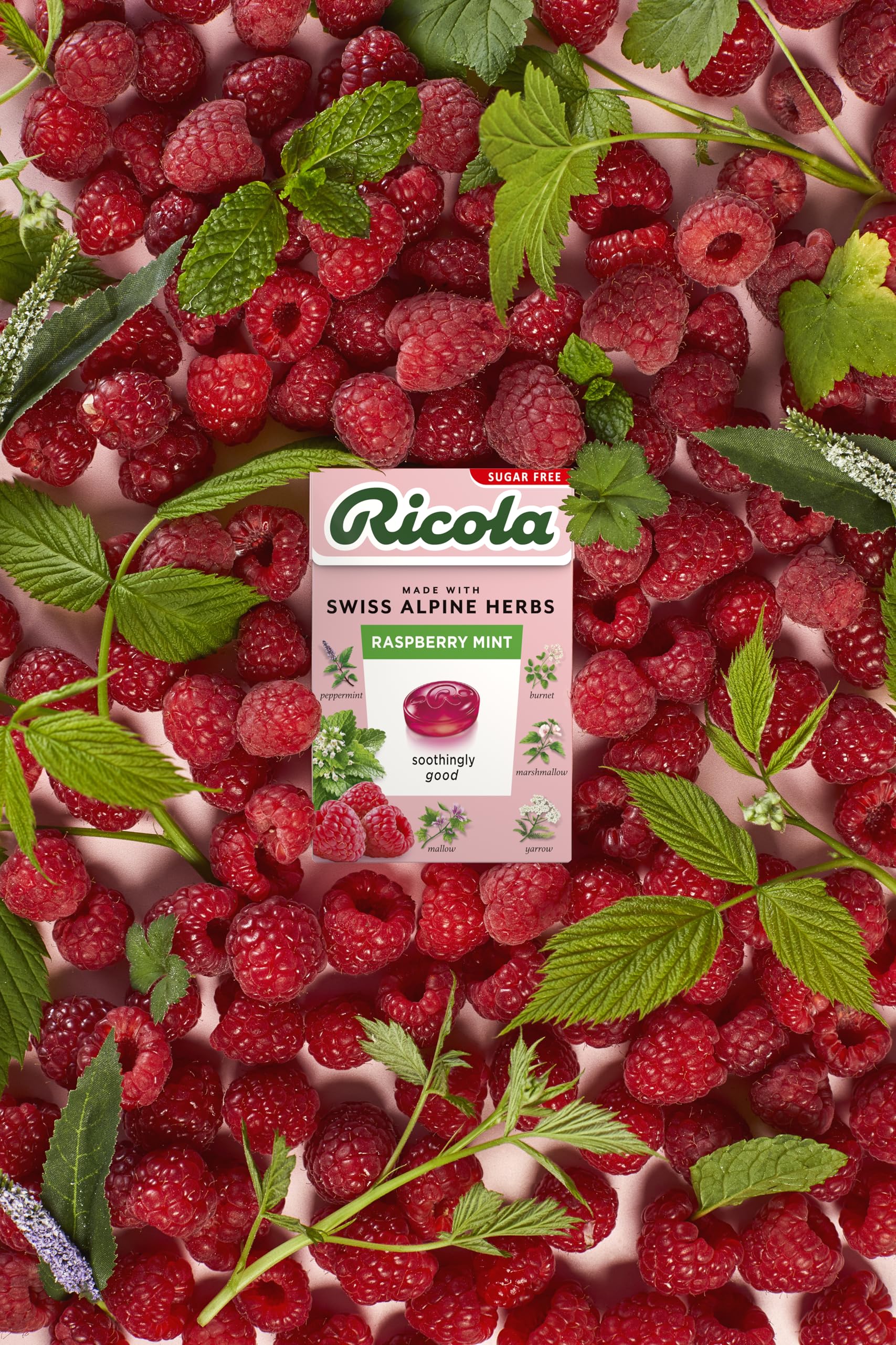 Ricola Raspberry Mint Sugar Free Herbal Sweets, 10-Pack Box (45g Each), Sweetened with Stevia, Vegan & Kosher 5