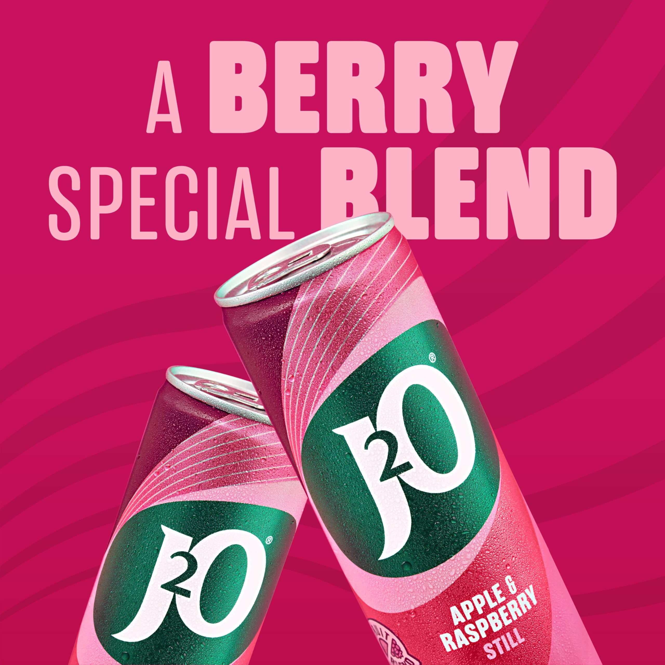 J2O Apple & Raspberry Flavoured Fruit Drink Cans - 4 x 250ml 8