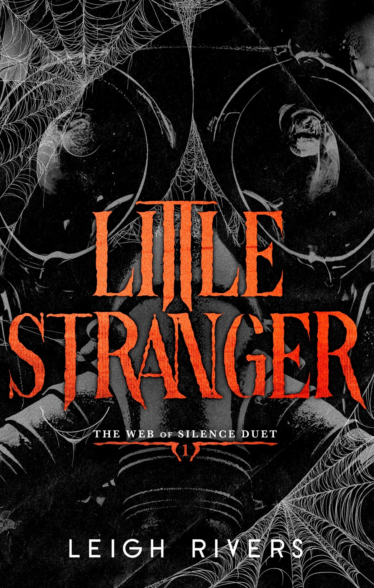 Piatkus Little Stranger: Deluxe Edition (Web of Silence) - Paperback, 304 Pages