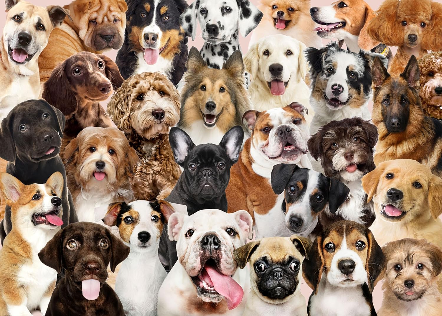 All the Dogs 1000 Piece Jigsaw Puzzle - Premium European Blue Board