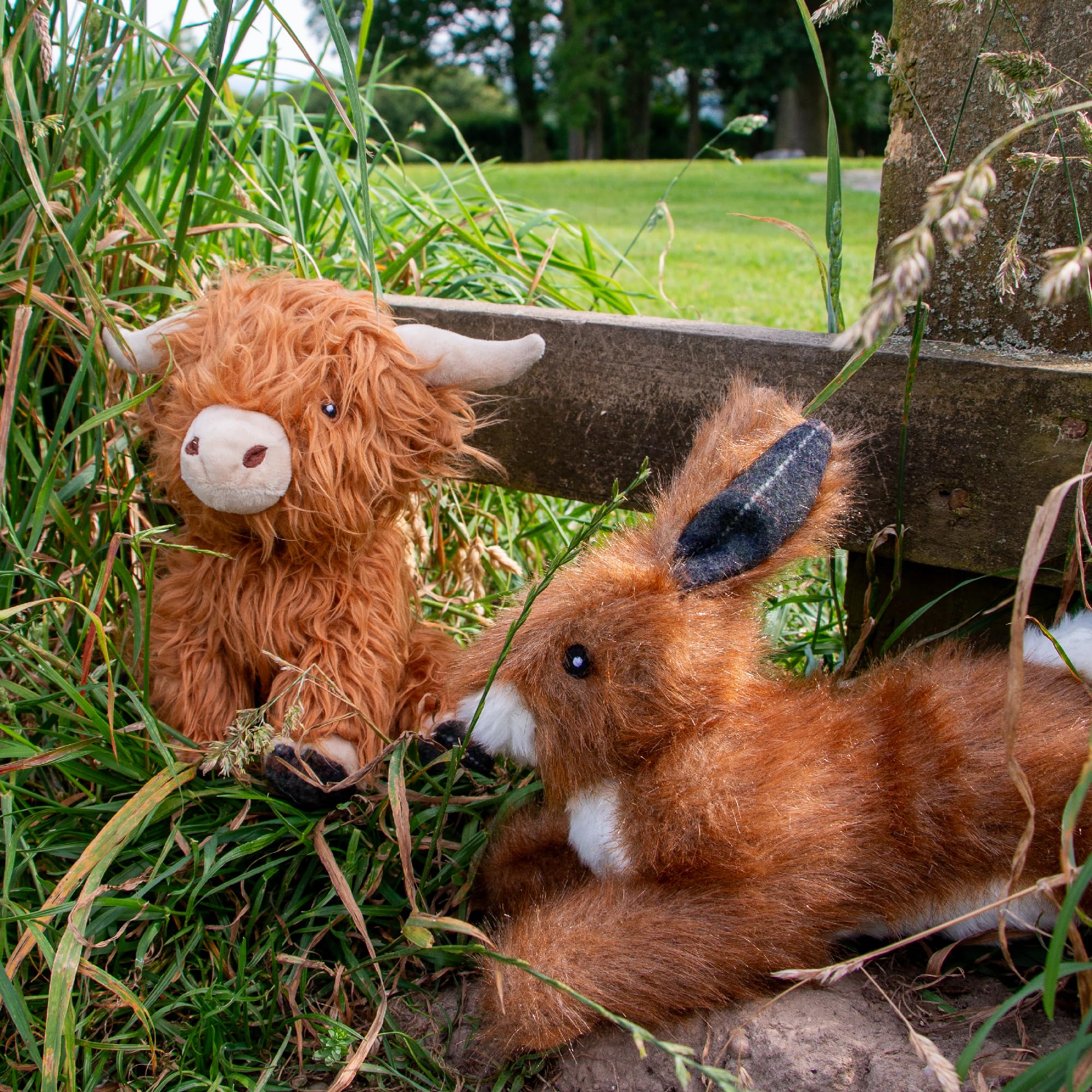 Ancol Heritage Fergus Highland Cow Plush Dog Toy with Squeaker | 23cm 3