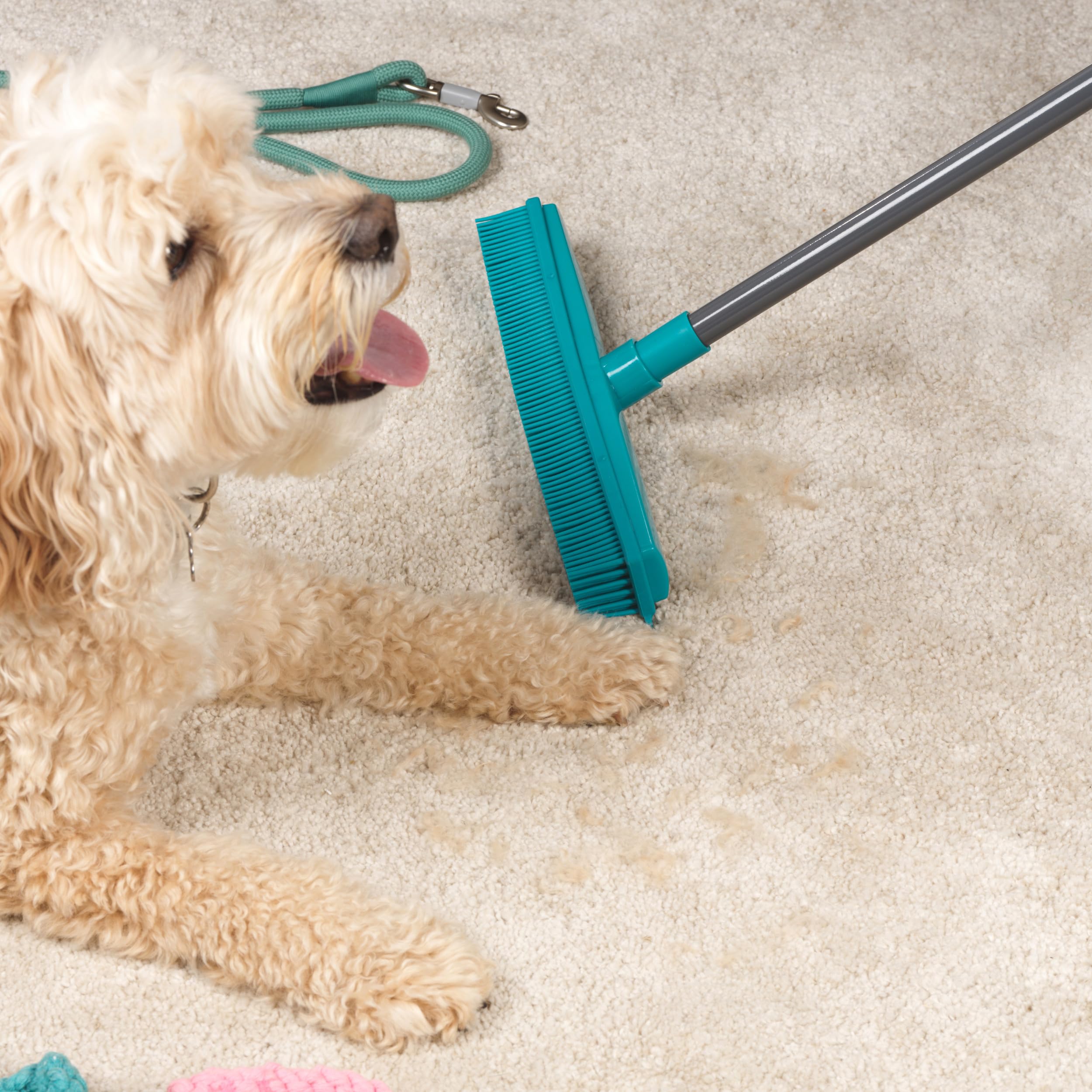 Beldray Antibac Pet Plus Rubber Head Push Broom - Telescopic Handle, Antibacterial Treatment | Grey 6