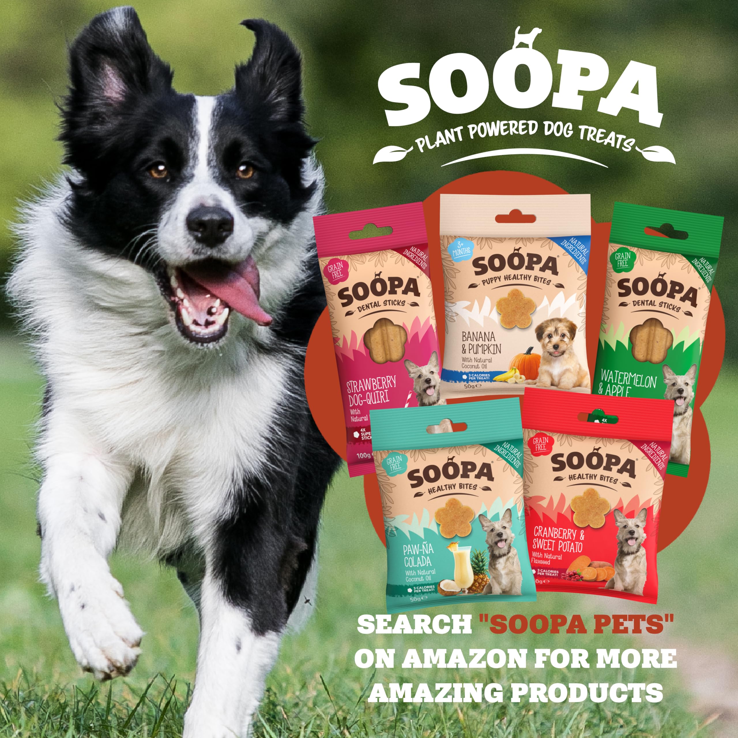 Soopa Gingerbread Biscuit Dog Dental Sticks - 100g | Hypo-allergenic | Aids Digestion 7