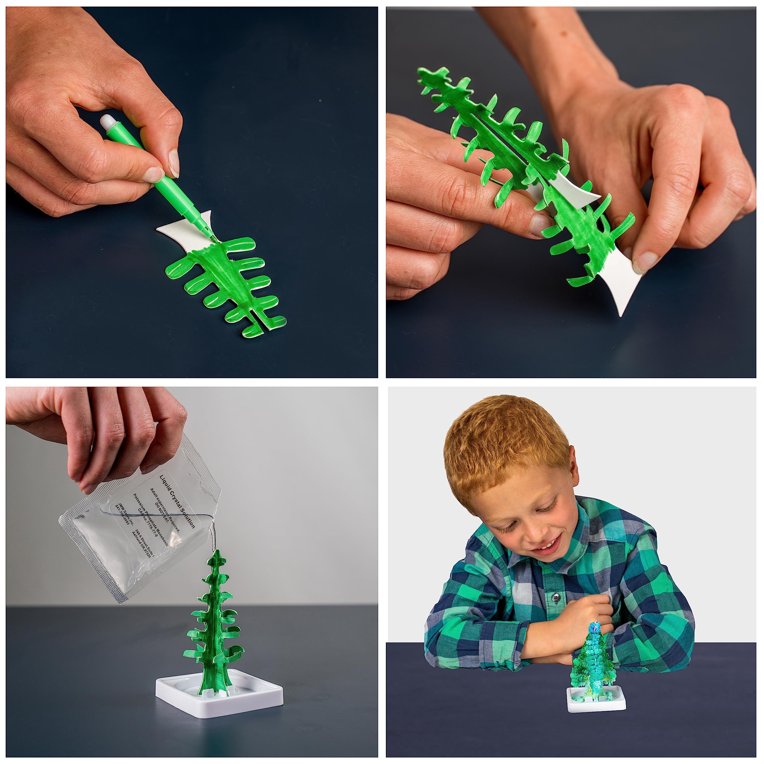 National Geographic Crystal Garden Growing Kit – Wissenschaftliches Experiment für Kinder ab 8 Jahren 3