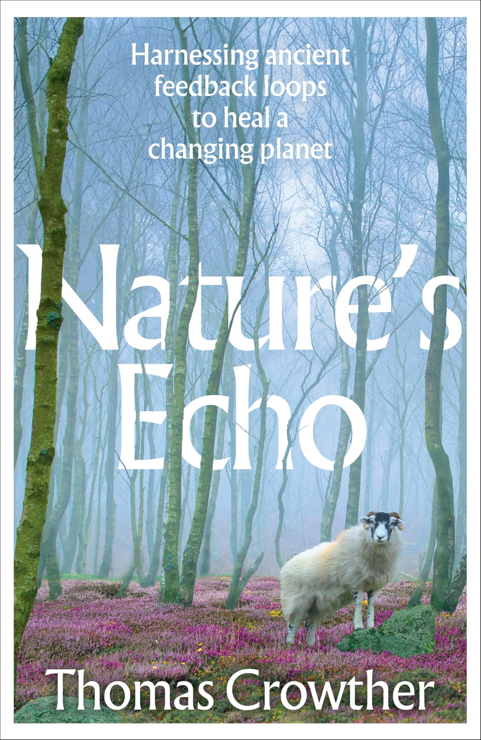 Allen Lane Nature's Echo: Harnessing Ancient Feedback Loops to Heal a Changing Planet | Hardcover 1