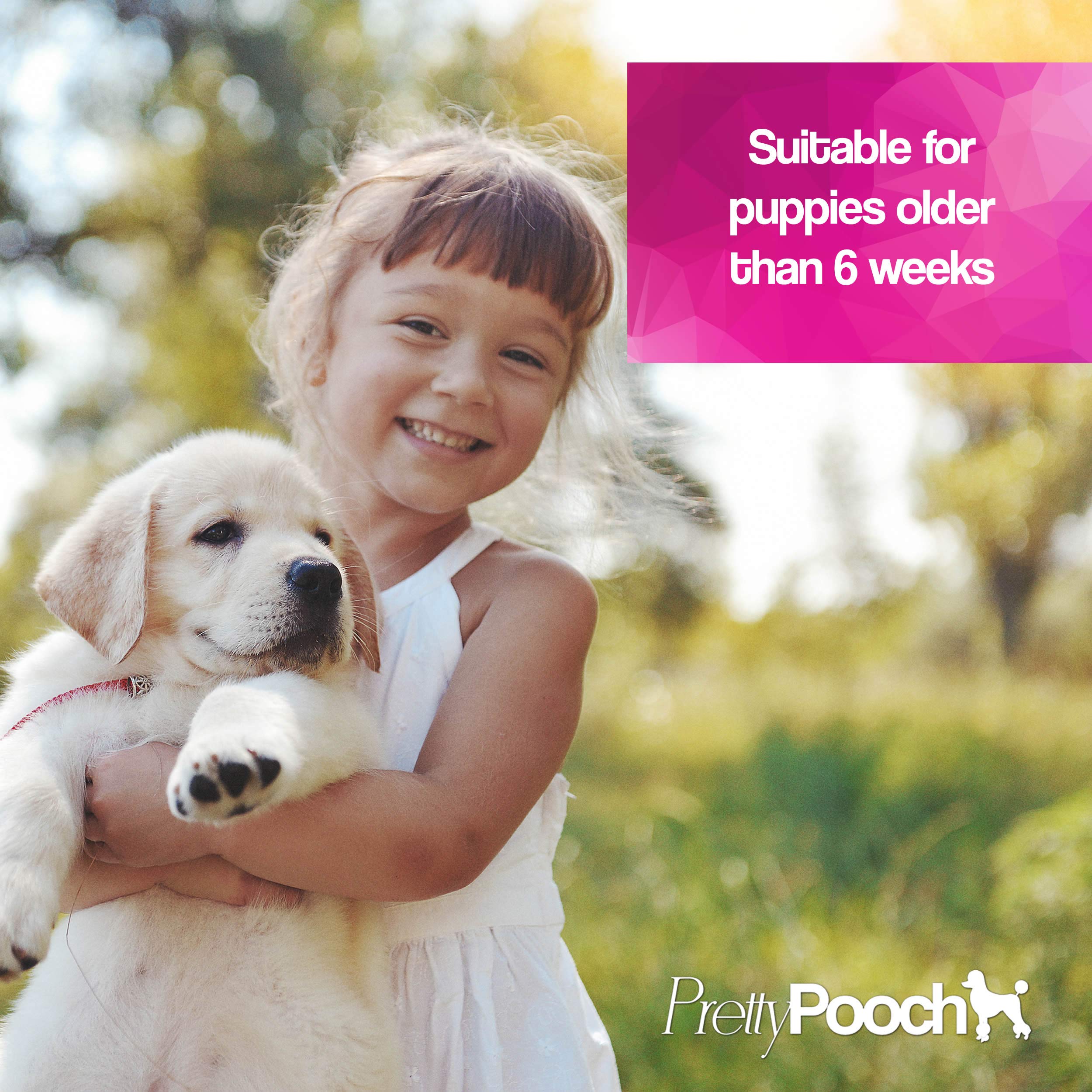 Pretty Pooch Dog Deodoriser Spray Perfume - Baby Powder Scent | 250ml | Vegan & Cruelty-Free 5