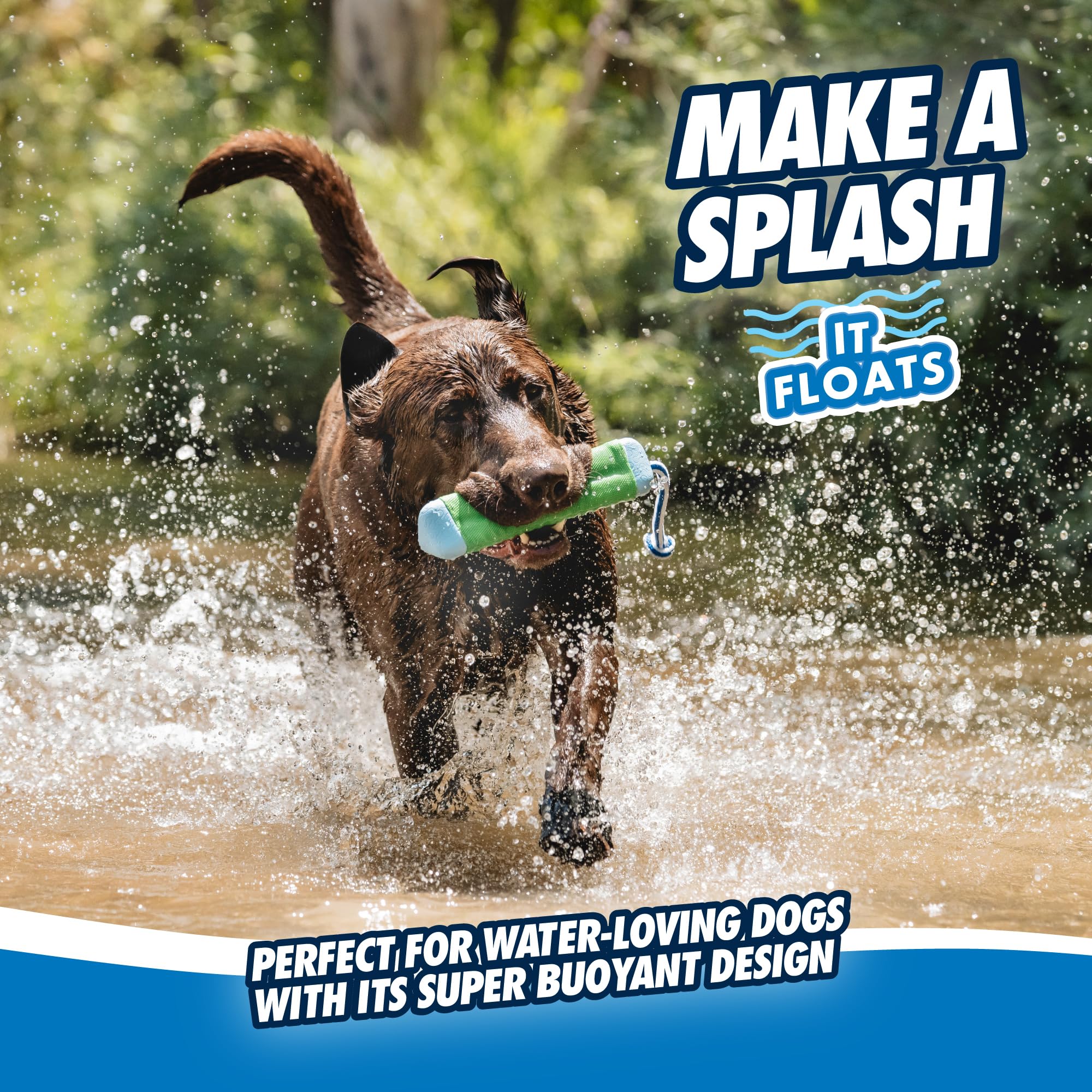 Chuckit! Amphibious Bumper Dog Toy - Medium Size, Water-Friendly Fetch Toy | Floats | Lightweight 7