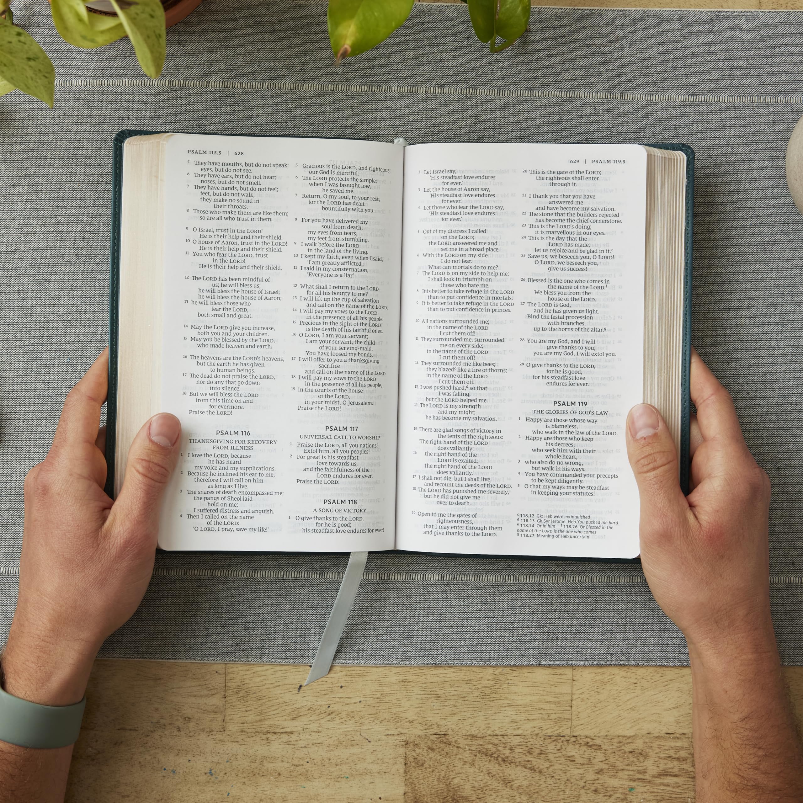 Catholic Bible Press NRSV Catholic Bible, Gift Edition - Leathersoft Brown, Comfort Print 2
