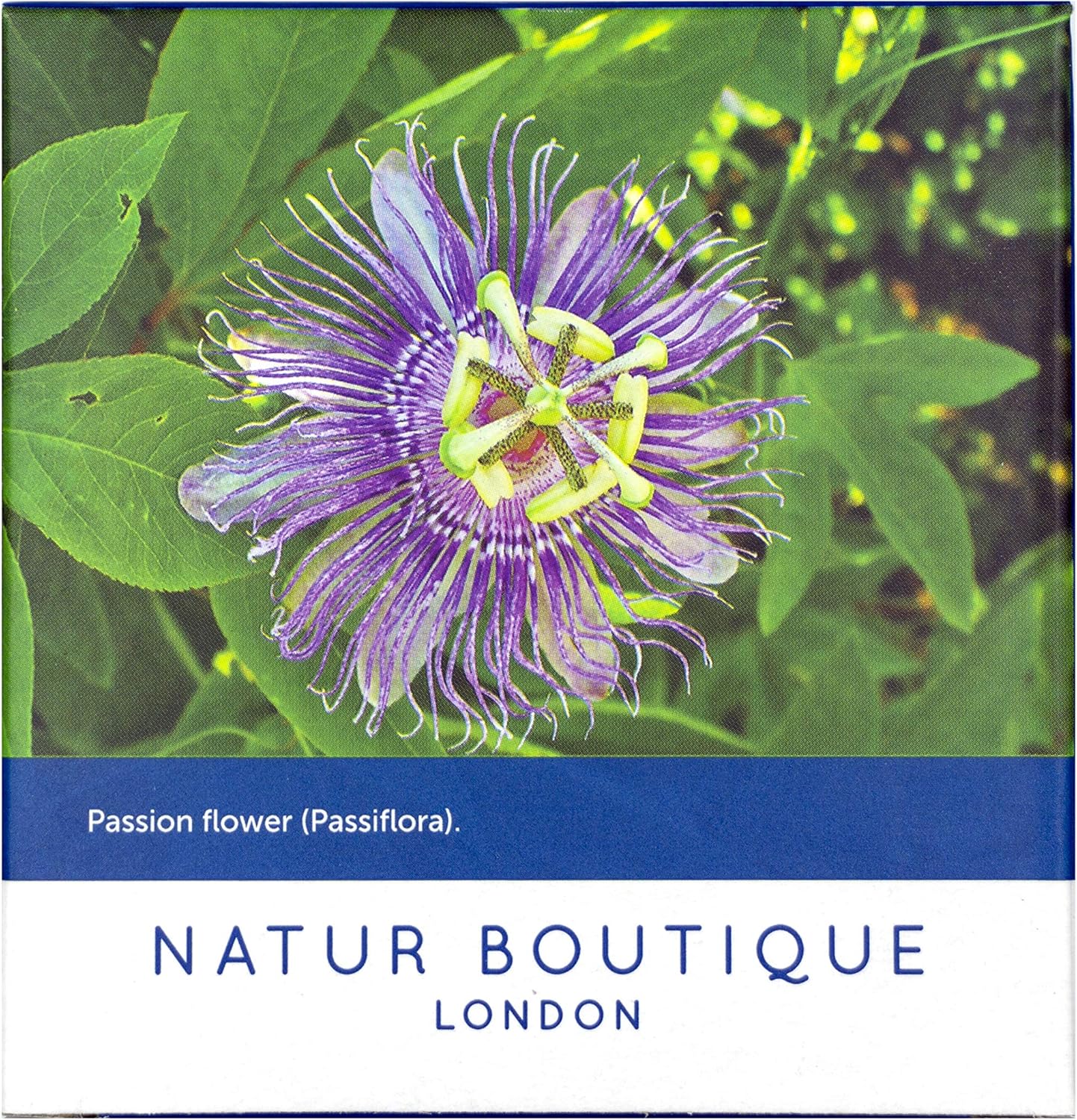 Natur Boutique Passion Flower Tea Sachets, 30 g, 20 Count 4