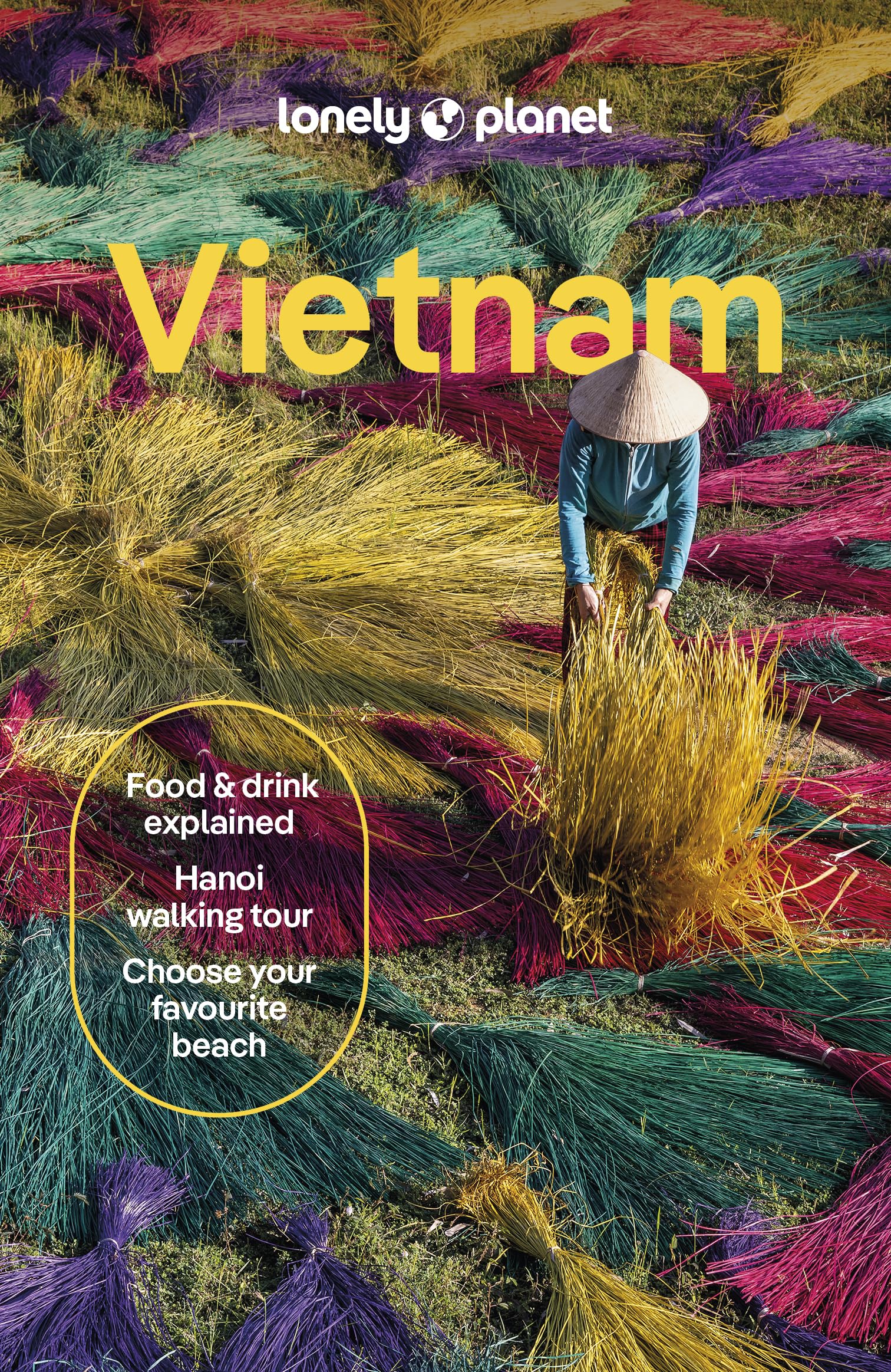 Lonely Planet Vietnam Travel Guide - 17th Edition | Ben Engelbach, Joshua Zukas | Paperback