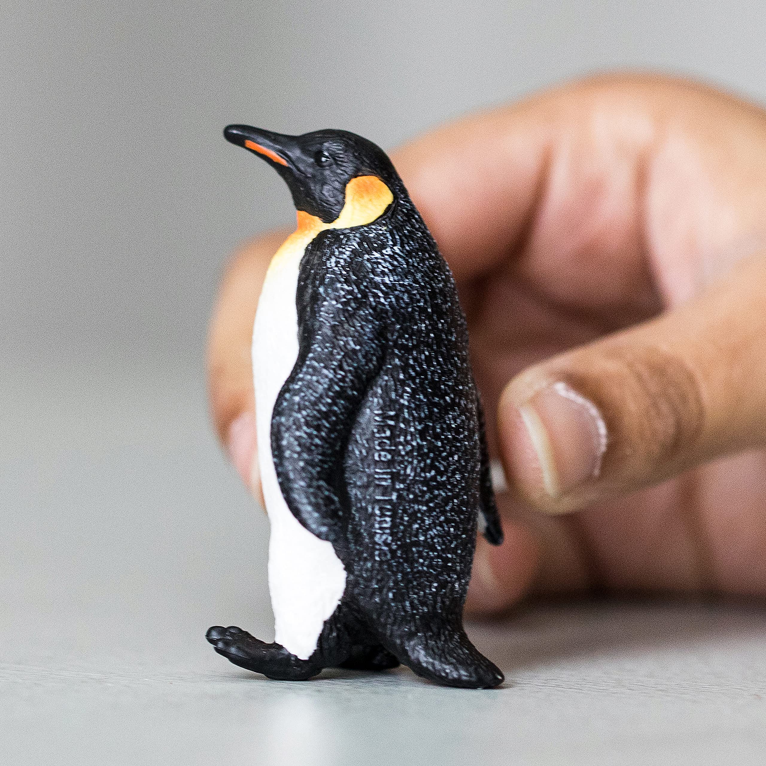 SCHLEICH Emperor Penguin Figure - Realistic Wildlife Toy for Kids 3-12 Years 6