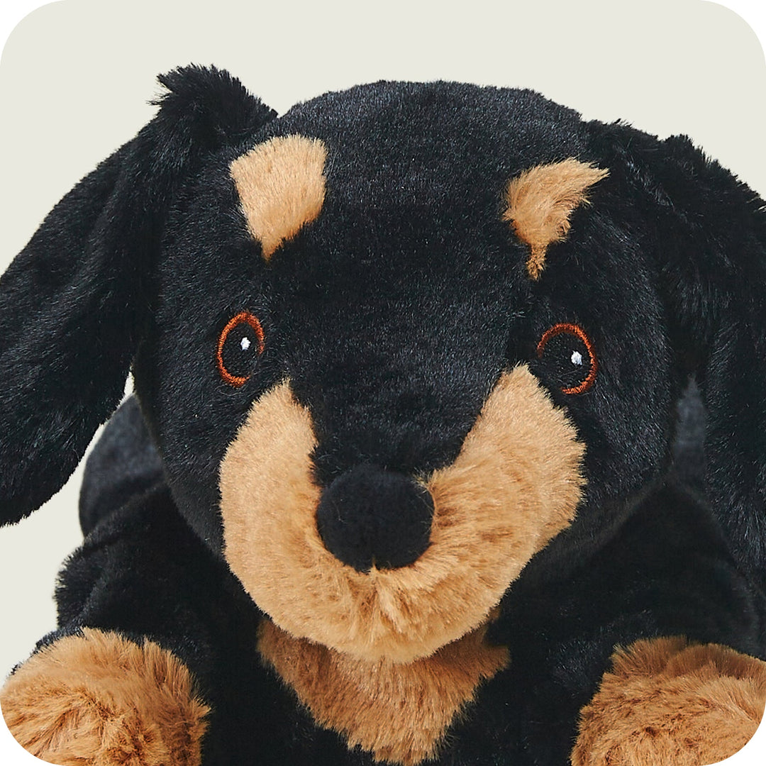 Warmies 13" Dachshund - Fully Heatable Cuddly Toy scented with French Lavender