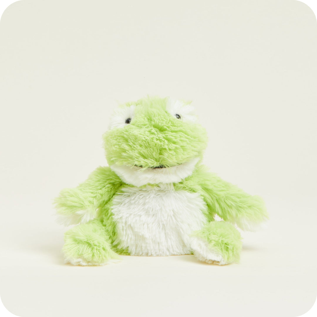 Warmies - Junior Frog Microwavable Plushie (JUN-FRO-2)