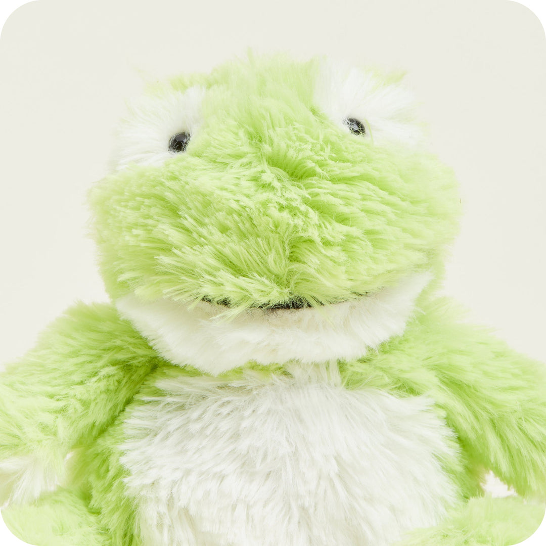 Warmies - Junior Frog Microwavable Plushie (JUN-FRO-2)