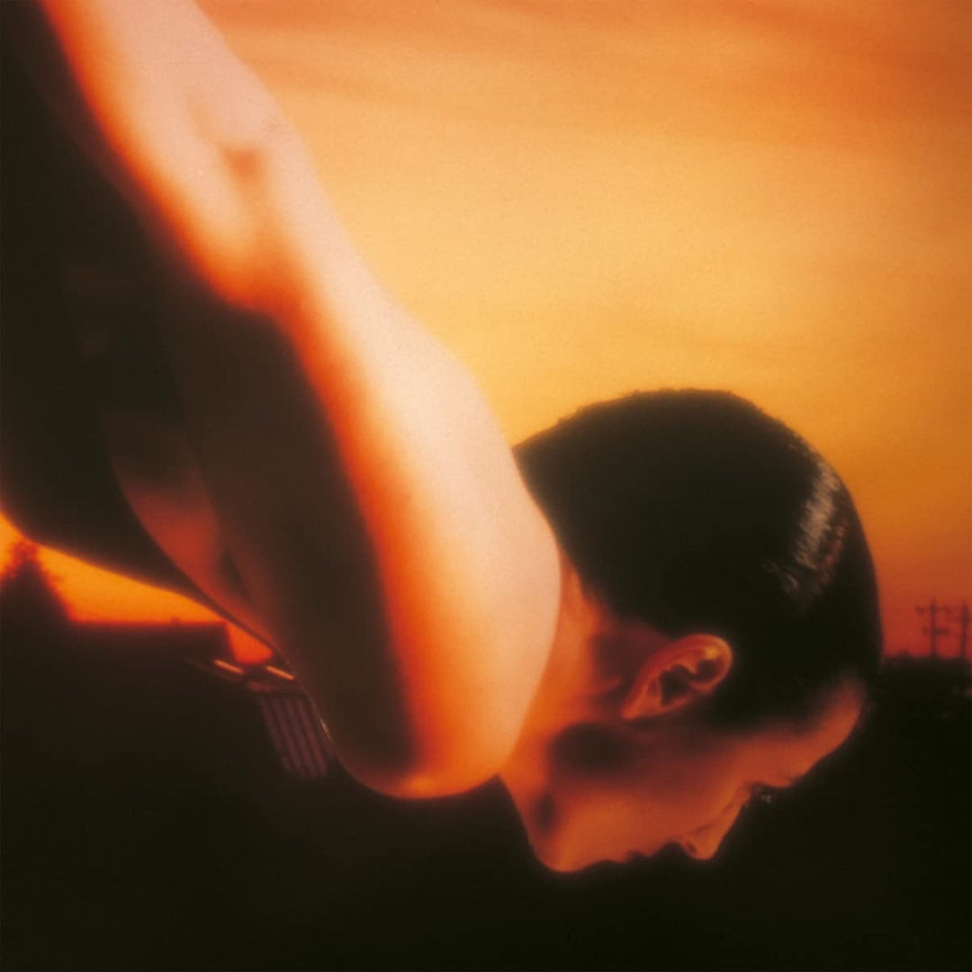 Porcupine Tree - On The Sunday Of Life [VINYL]