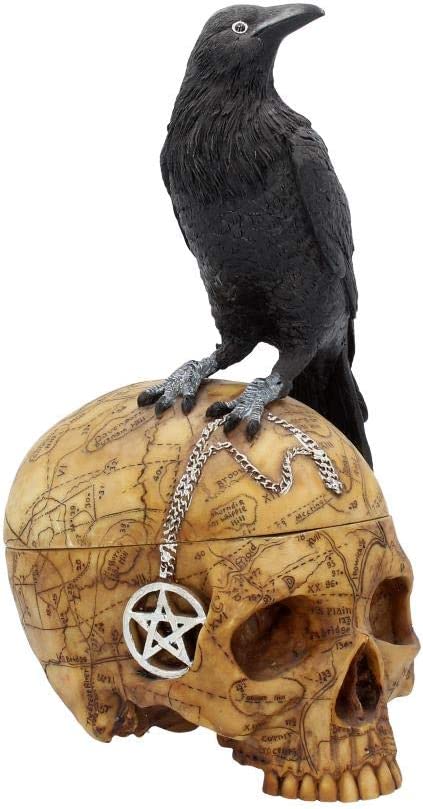 Nemesis Now Salems Familiar Box 27m Black, Resin, 27cm