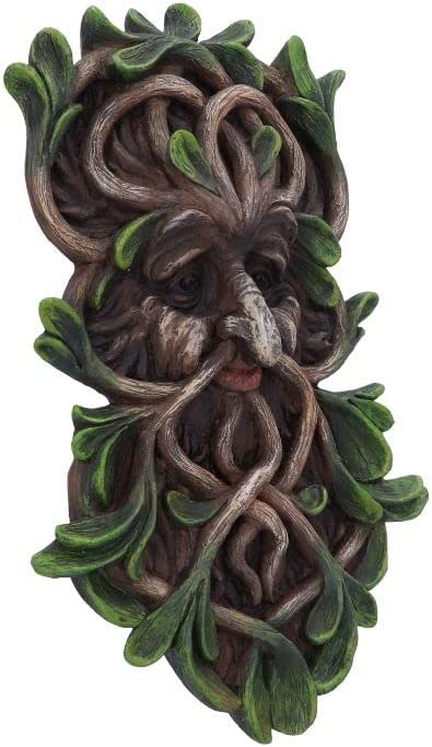 Nemesis Now Tawnya Tree Spirit Wall Plaque in Brown 5