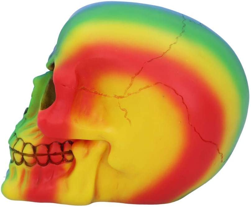 Nemesis Now U5084R0 Rainbow Skull 15.5cm, Polyresin, Multi-Coloured, One Size