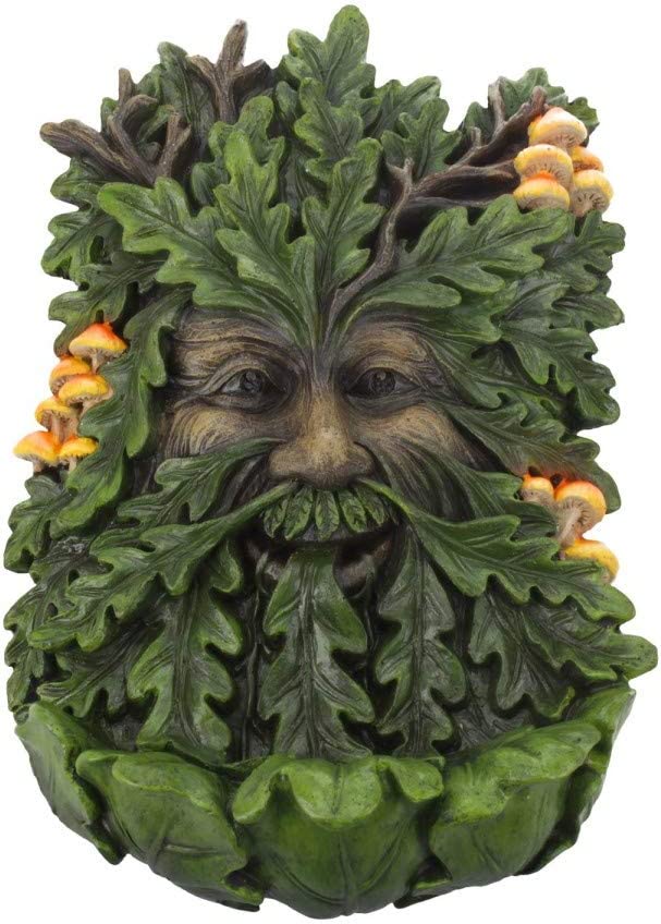 Nemesis Now D4267M8 Elderwood Wall Plaque 19cm Green, Polyresin, 23.8cm