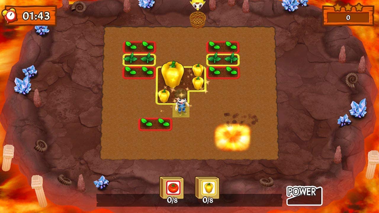 Harvest Moon Mad Dash - Nintendo Switch 4