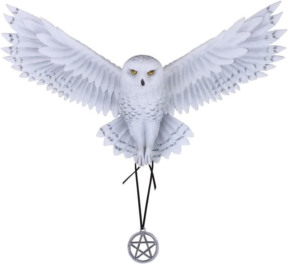 Nemesis Now Anne Stokes Awaken Your Magic Snowy Owl Wall Plaque, Resin, White