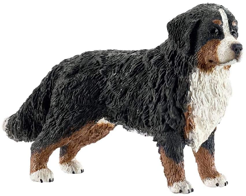 Schleich 16397 Bernese Mountain Dog, hembra