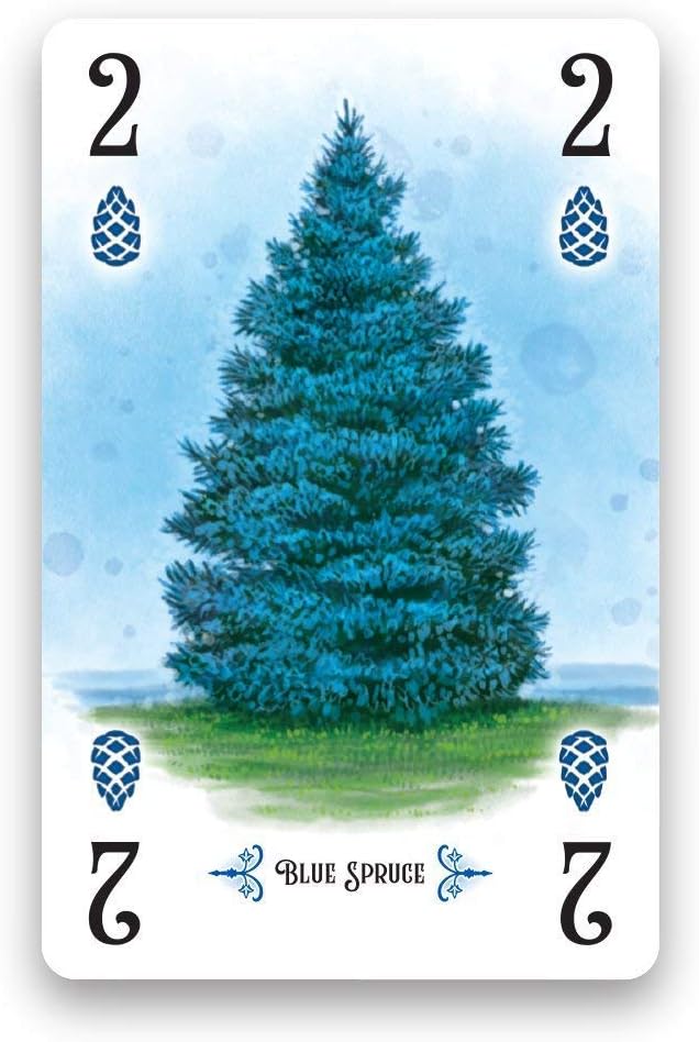 Renegade Game Studio Arboretum Card Game 7