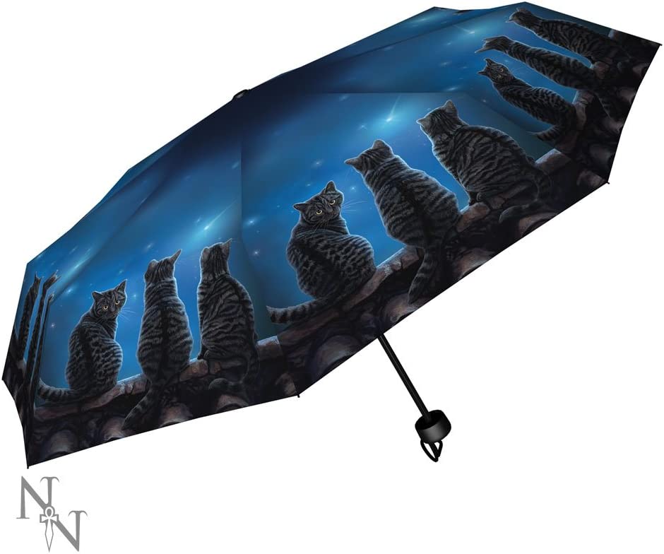 Nemesis Now Wish Upon a Star Lisa Parker Umbrella 24cm Blue, Plastic, Metal, 190