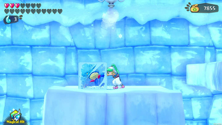 Wonder Boy Asha en Monster World (Nintendo Switch)