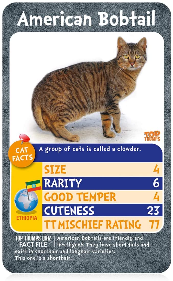 Top Trumps Cats Who is Most Mischievous Card Game 3