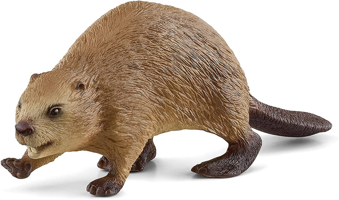 SCHLEICH 14855 Wild Life Beaver Figurine Multicoloured