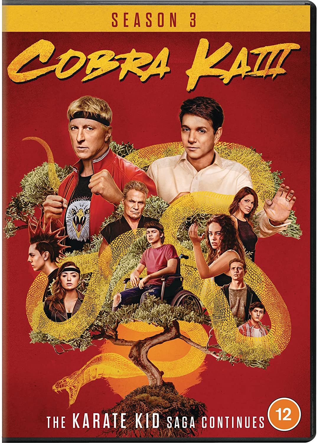 Action fiction - Cobra Kai - Seasons 03 [DVD] [2021]