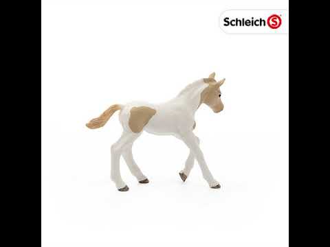 Schleich 13886 Club Paint Horse foal