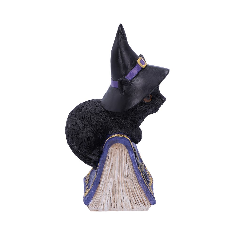 Nemesis Now Pocus Small Witches Familiar Black Cat and Spellbook Figurine 12.7cm