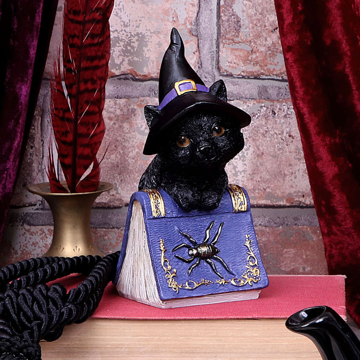 Nemesis Now Pocus Small Witches Familiar Black Cat and Spellbook Figurine 12.7cm